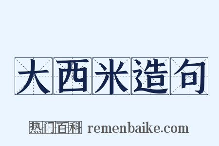 大西米造句是什么意思的图片